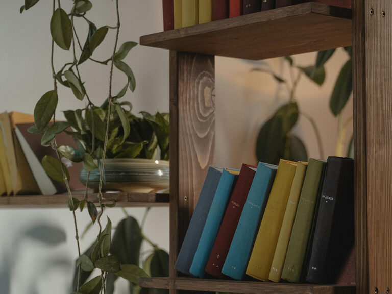 Office shelves close up with files, books and plants