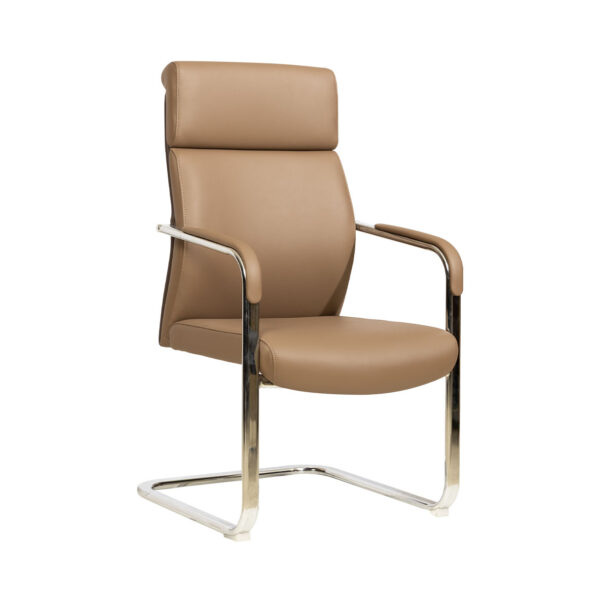 Roma Visitor Chair (Brown)